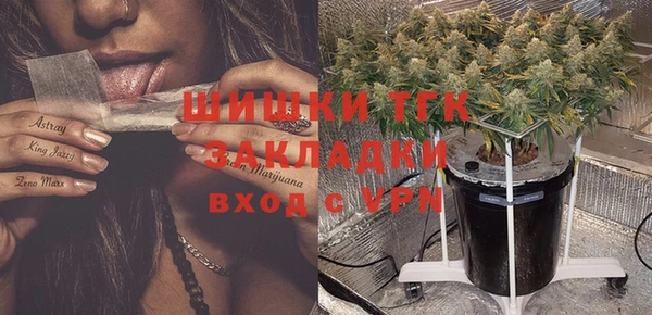 PSILOCYBIN Алексеевка