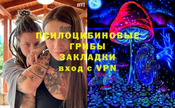 PSILOCYBIN Алексеевка