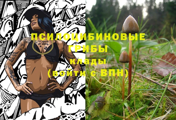 кокаин Алексин