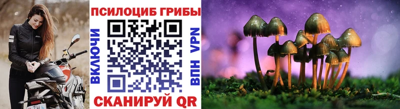 Галлюциногенные грибы Psilocybe  кракен рабочий сайт  Арск 